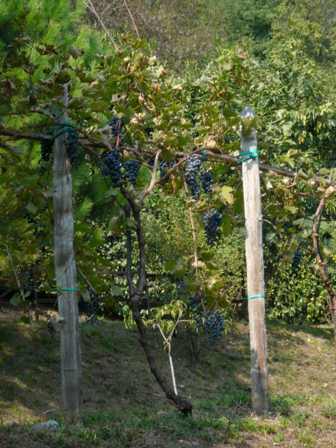 Cascina Cologna Bed & Breakfast Galbiate Bagian luar foto